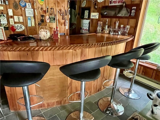 620 Ullas Way, Davenport, NY 13750 - indoor dry bar with wooden walls