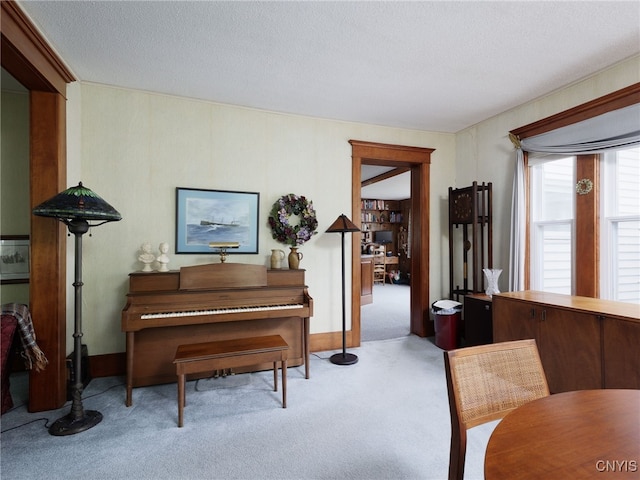 916 State St, Wilna, NY 13619 - sitting room with carpet and a textured ceiling