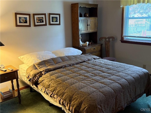 74 Eaton St, Hamilton, NY 13346 - view of carpeted bedroom