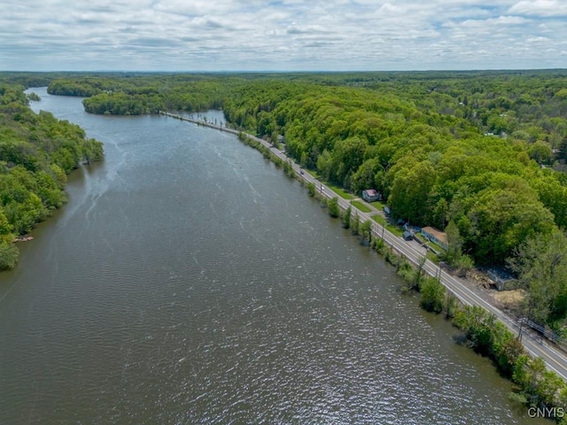 2707 State Route 48, Minetto, NY 13115 - aerial view of a heavily wooded area and a nearby body of water