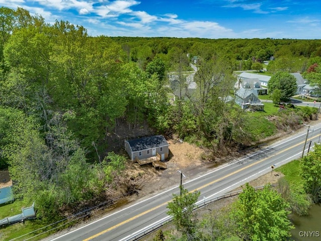 2707 State Route 48, Minetto, NY 13115 - aerial view of a forest
