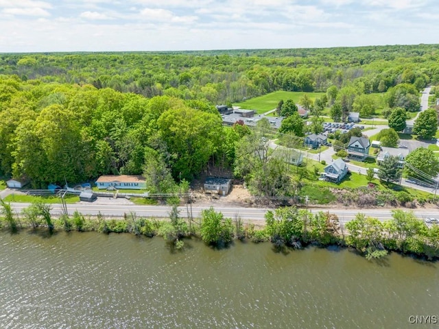 2707 State Route 48, Minetto, NY 13115 - drone / aerial view of a heavily wooded area and a nearby body of water