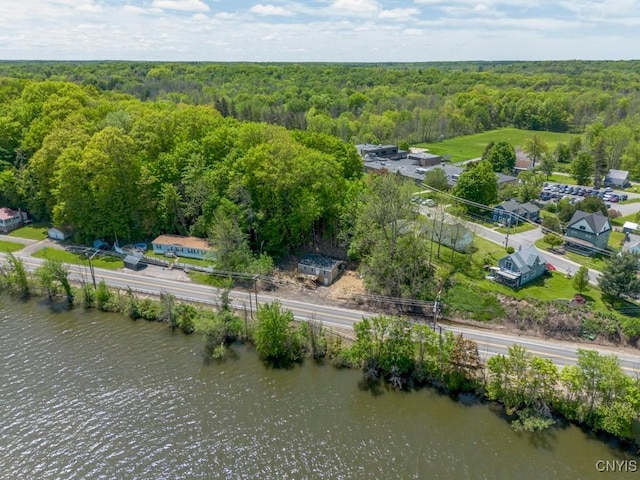 2707 State Route 48, Minetto, NY 13115 - bird's eye view of a forest and a nearby body of water