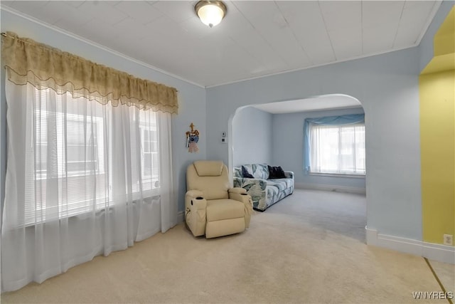 84 Newfield St, Buffalo, NY 14207 - sitting room with arched walkways, carpet, crown molding, and baseboards