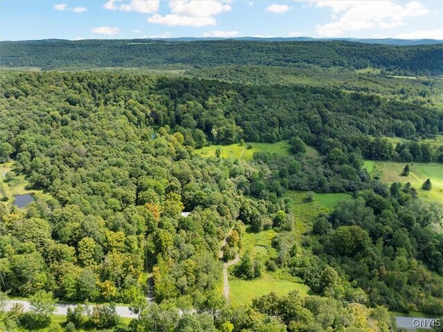 2236 Gorton Lake Rd, Brookfield, NY 13485 - photo 10
