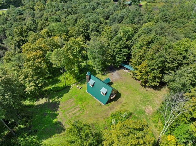 2236 Gorton Lake Rd, Brookfield, NY 13485 - photo 11