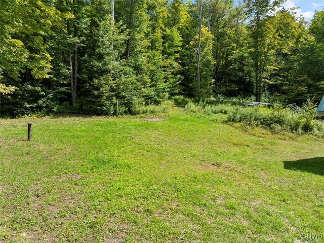 2236 Gorton Lake Rd, Brookfield, NY 13485 - photo 14