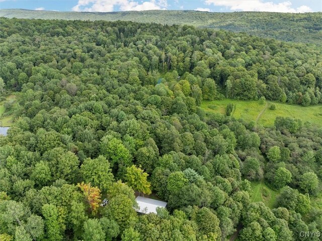 2236 Gorton Lake Rd, Brookfield, NY 13485 - photo 15