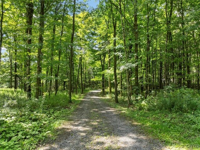 2236 Gorton Lake Rd, Brookfield, NY 13485 - photo 18