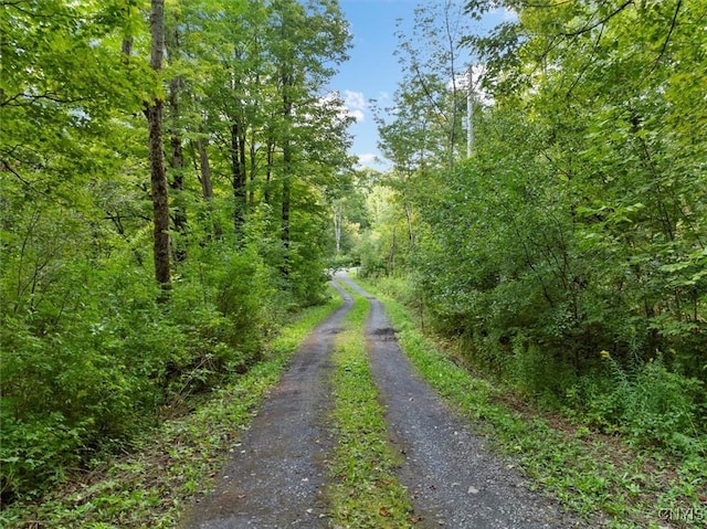 2236 Gorton Lake Rd, Brookfield, NY 13485 - photo 4