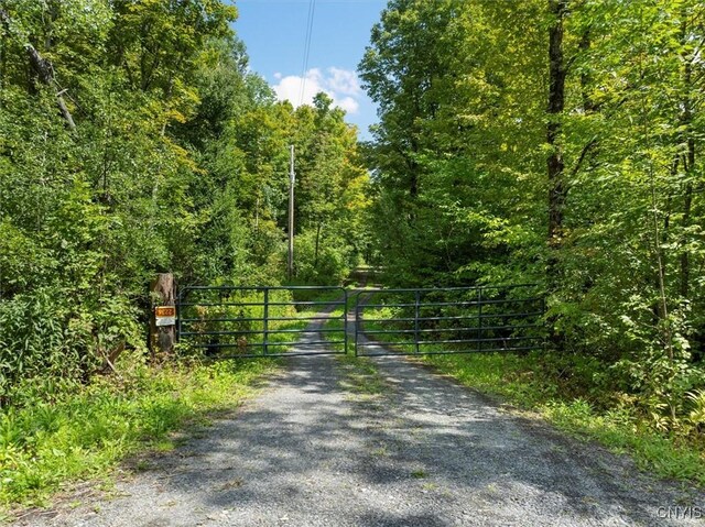 2236 Gorton Lake Rd, Brookfield, NY 13485 - photo 5