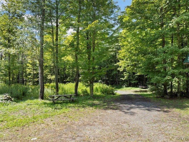 2236 Gorton Lake Rd, Brookfield, NY 13485 - photo 6