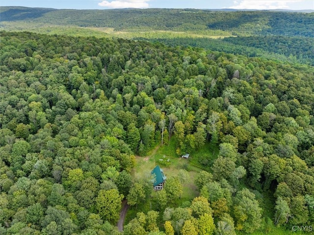2236 Gorton Lake Rd, Brookfield, NY 13485 - photo 37