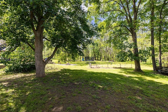1184 Osband Ave, Macedon, NY 14502 - view of grassy yard