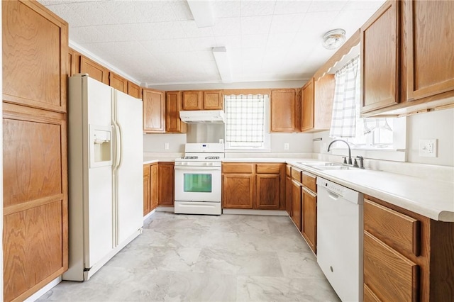 1184 Osband Ave, Macedon, NY 14502 - kitchen with white appliances, under cabinet range hood, a sink, brown cabinets, and light countertops