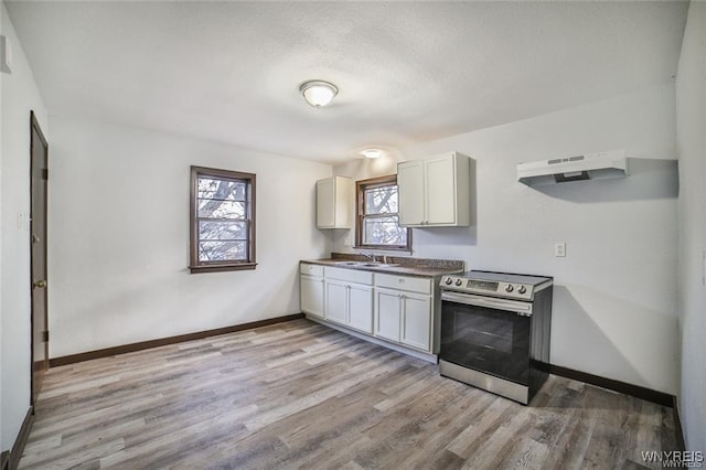 417 24th St, Niagara Falls, NY 14303 - kitchen with stainless steel range with electric cooktop, light wood finished floors, baseboards, a sink, and under cabinet range hood