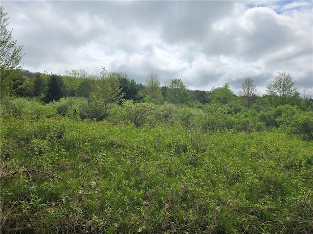 0 Ruttin Rd, Scio, NY 14880