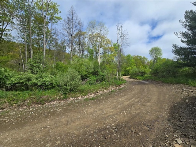 0 Ruttin Rd, Scio, NY 14880