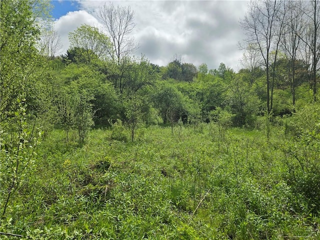 0 Ruttin Rd, Scio, NY 14880