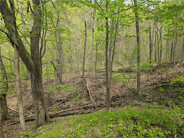 0 Ruttin Rd, Scio, NY 14880