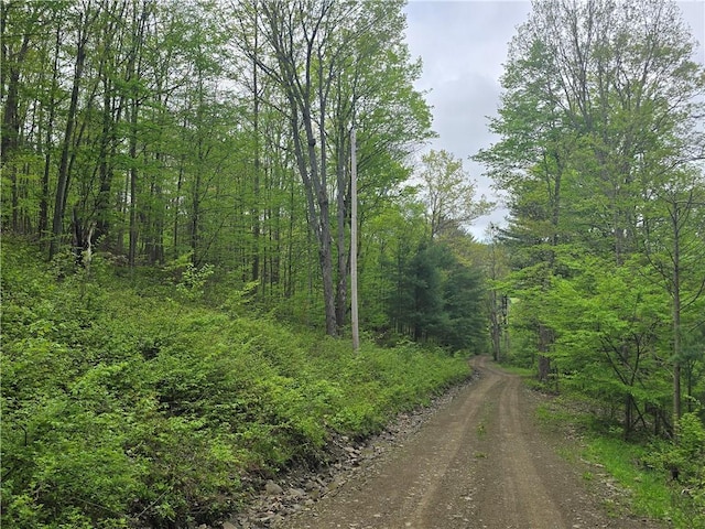 0 Ruttin Rd, Scio, NY 14880