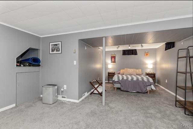 114 Osborne Dr, Manlius, NY 13057 - carpeted bedroom featuring rail lighting, baseboards, and crown molding
