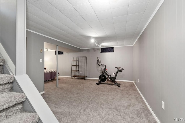 114 Osborne Dr, Manlius, NY 13057 - exercise room with carpet, crown molding, and baseboards