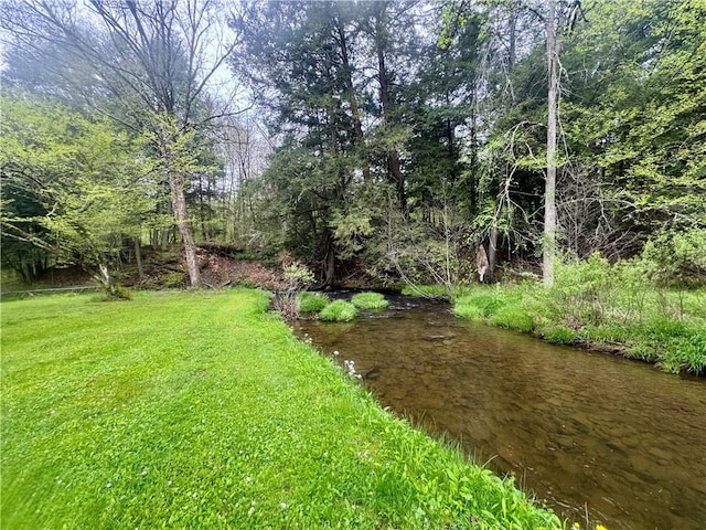 405 County Highway 12, Laurens, NY 13796 - view of green lawn