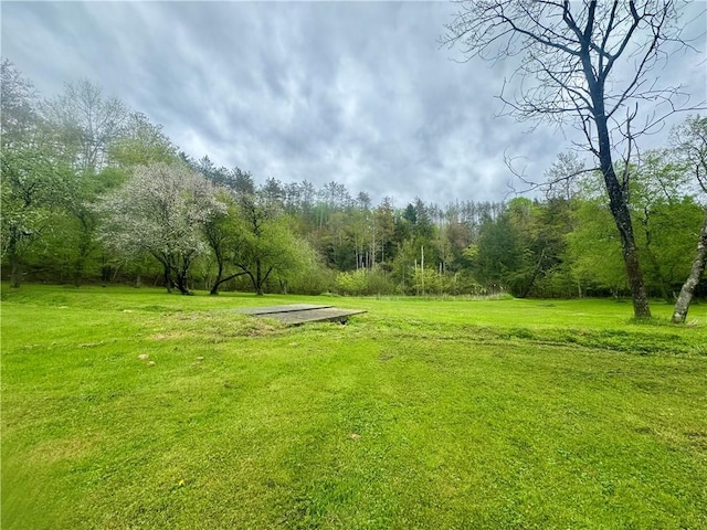 405 County Highway 12, Laurens, NY 13796 - view of home's community featuring a lawn and a wooded view
