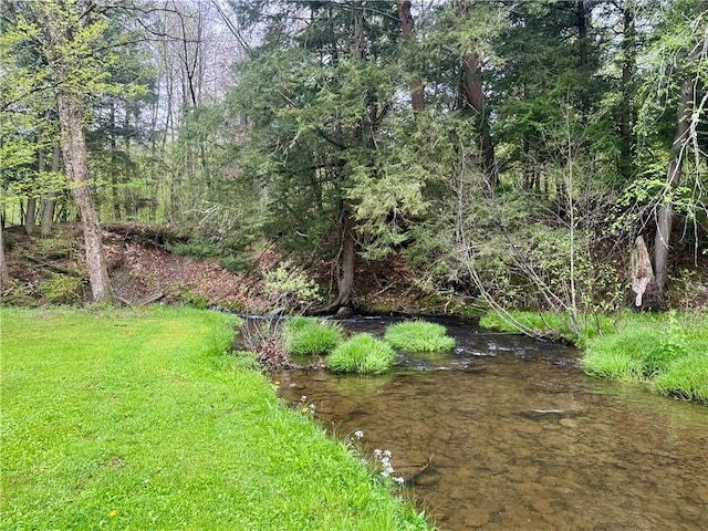 405 County Highway 12, Laurens, NY 13796 - view of yard
