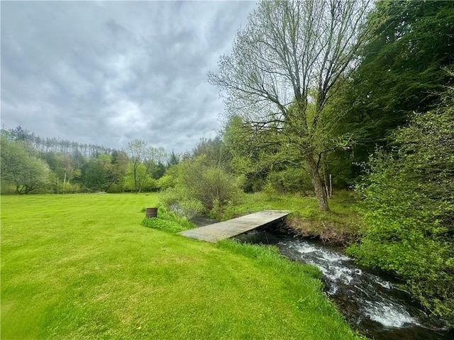 405 County Highway 12, Laurens, NY 13796 - view of green lawn featuring a view of trees