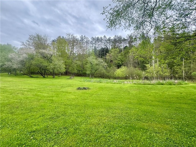405 County Highway 12, Laurens, NY 13796 - view of grassy yard