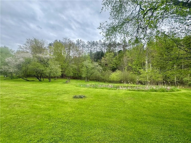 405 County Highway 12, Laurens, NY 13796 - view of grassy yard