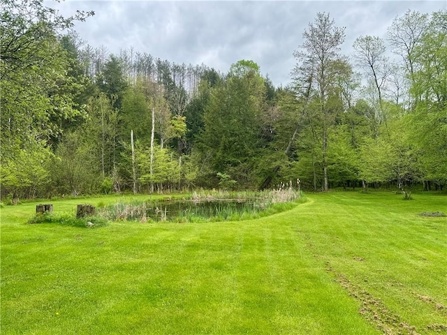 405 County Highway 12, Laurens, NY 13796 - view of green lawn with a forest view