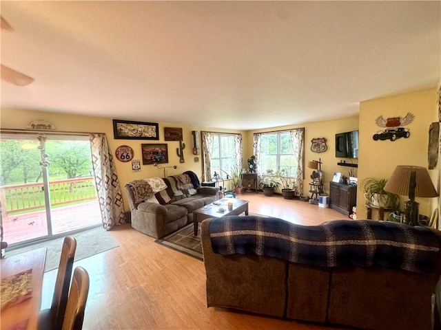 405 County Highway 12, Laurens, NY 13796 - living area featuring light wood-style flooring
