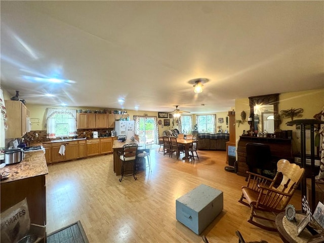 405 County Highway 12, Laurens, NY 13796 - living room featuring light wood-style flooring and a ceiling fan