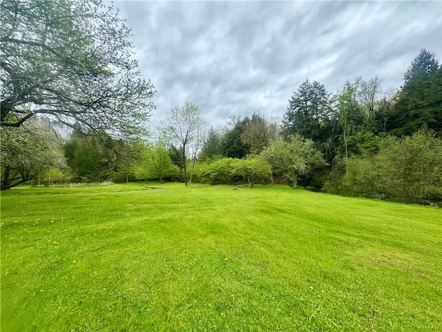 405 County Highway 12, Laurens, NY 13796 - view of green lawn