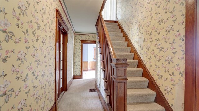 367 Castle St, Geneva City, NY 14456 - photo 19