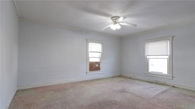 367 Castle St, Geneva City, NY 14456 - photo 27