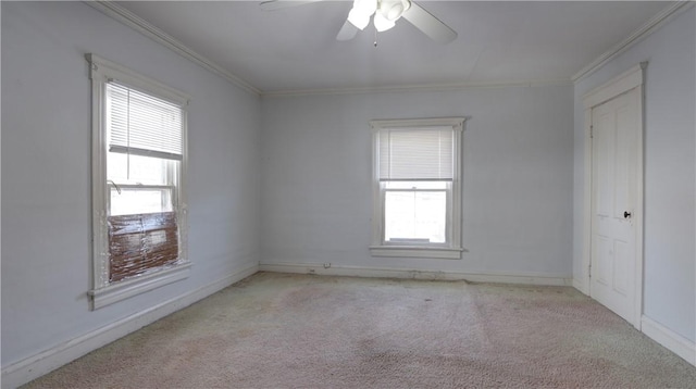 367 Castle St, Geneva City, NY 14456 - photo 28