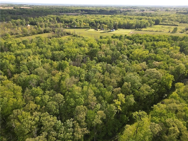 6794 Fosterville Rd, Aurelius, NY 13021 - bird's eye view of a heavily wooded area