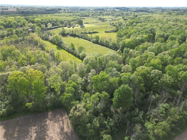 6794 Fosterville Rd, Aurelius, NY 13021 - aerial view of a heavily wooded area