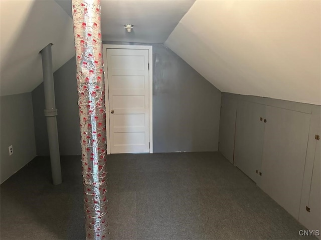 442 Euclid Rd, Utica, NY 13502 - bonus room featuring lofted ceiling and carpet flooring