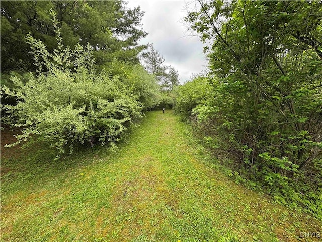 9682 Silsbee Rd, Wayne, NY 14840