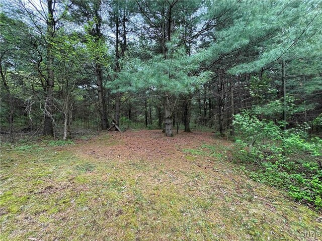 9682 Silsbee Rd, Wayne, NY 14840