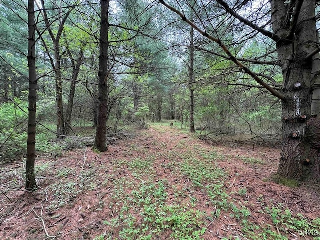 9682 Silsbee Rd, Wayne, NY 14840
