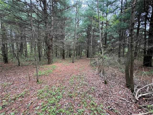 9682 Silsbee Rd, Wayne, NY 14840