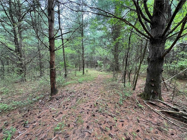 9682 Silsbee Rd, Wayne, NY 14840