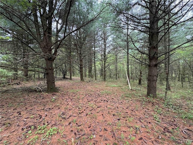 9682 Silsbee Rd, Wayne, NY 14840