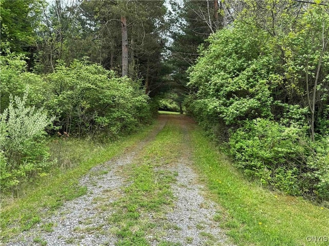 9682 Silsbee Rd, Wayne, NY 14840